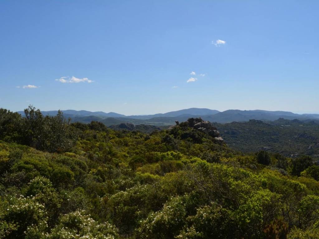 casa indipendente in vendita ad Aggius