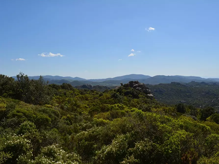 casa indipendente in vendita ad Aggius