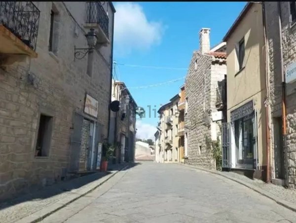 negozio in vendita ad Aggius