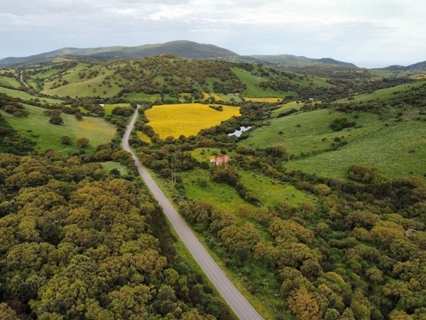 terreno agricolo in vendita ad Aggius