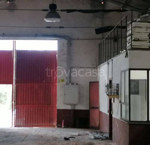 locale commerciale in vendita ad Aggius