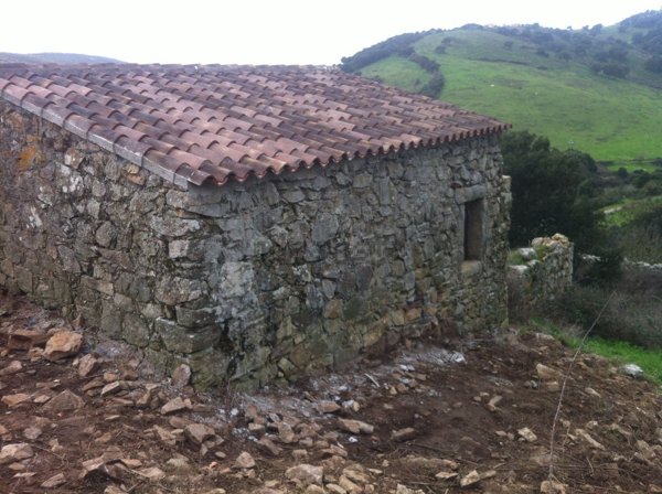 terreno agricolo in vendita ad Aggius