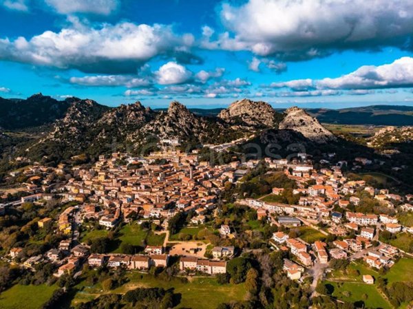 terreno agricolo in vendita ad Aggius
