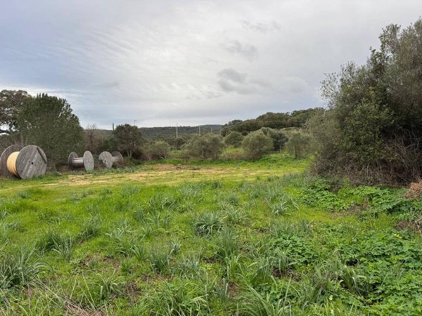 terreno edificabile in vendita ad Aggius