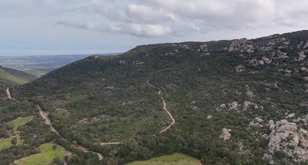 terreno agricolo in vendita ad Aggius