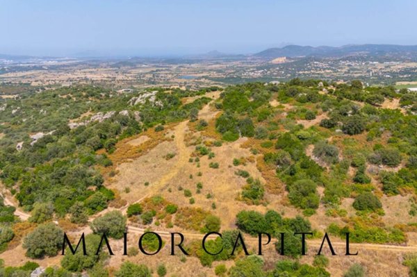 terreno agricolo in vendita ad Aggius