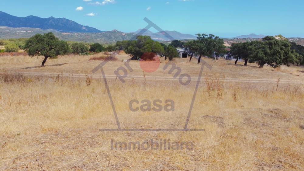 casa indipendente in vendita ad Aggius