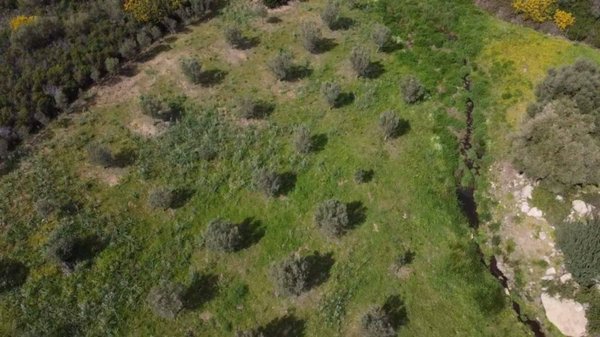 terreno agricolo in vendita ad Aggius