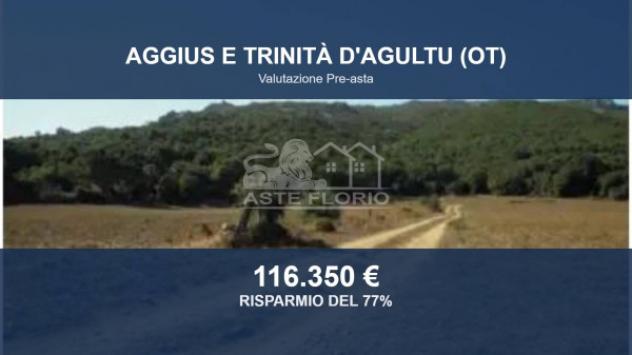 terreno agricolo in vendita ad Aggius