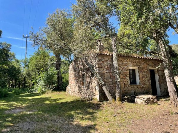 casa indipendente in vendita ad Aggius