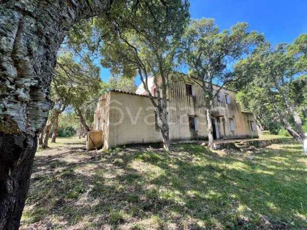 casa indipendente in vendita ad Aggius