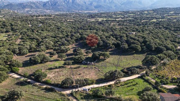 terreno agricolo in vendita ad Aggius