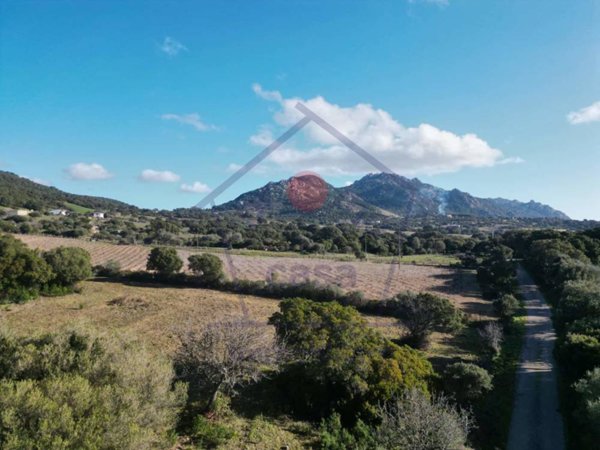 terreno agricolo in vendita ad Aggius
