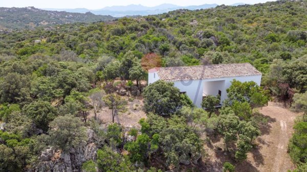 casa indipendente in vendita ad Aggius