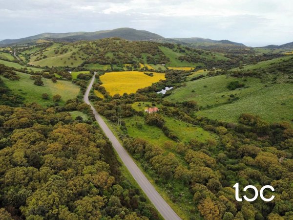 terreno agricolo in vendita ad Aggius