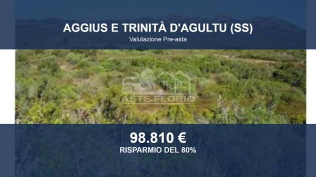 terreno agricolo in vendita ad Aggius