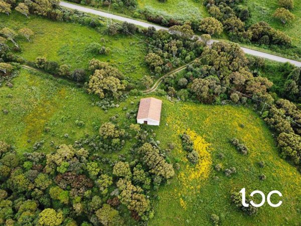 terreno in vendita ad Aggius