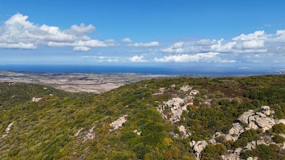 terreno in vendita ad Aggius