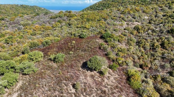 terreno in vendita ad Aggius