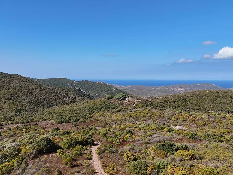 terreno in vendita ad Aggius