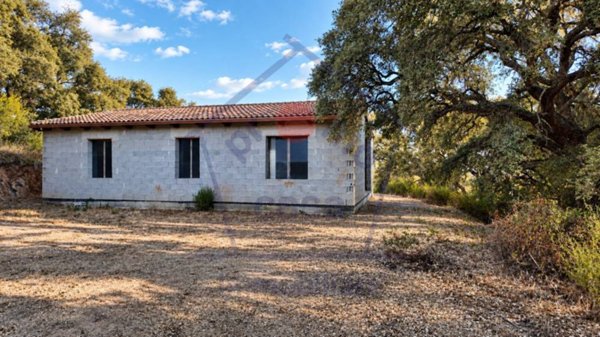 casa indipendente in vendita ad Aggius