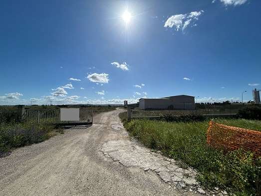 terreno agricolo in vendita ad Alà dei Sardi