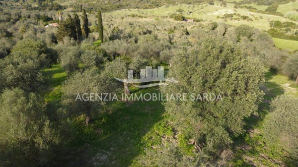 terreno edificabile in vendita ad Alà dei Sardi
