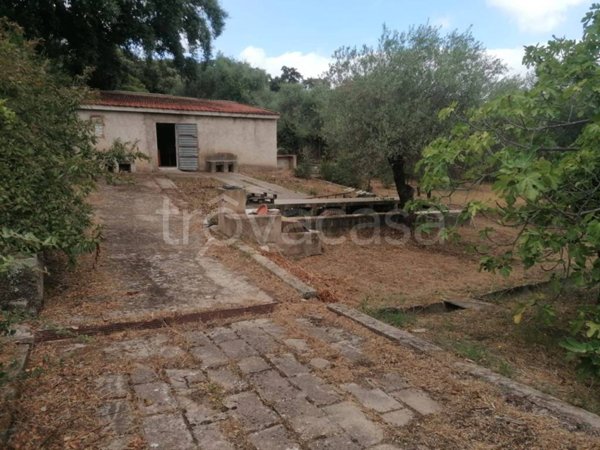 appartamento in vendita ad Alghero