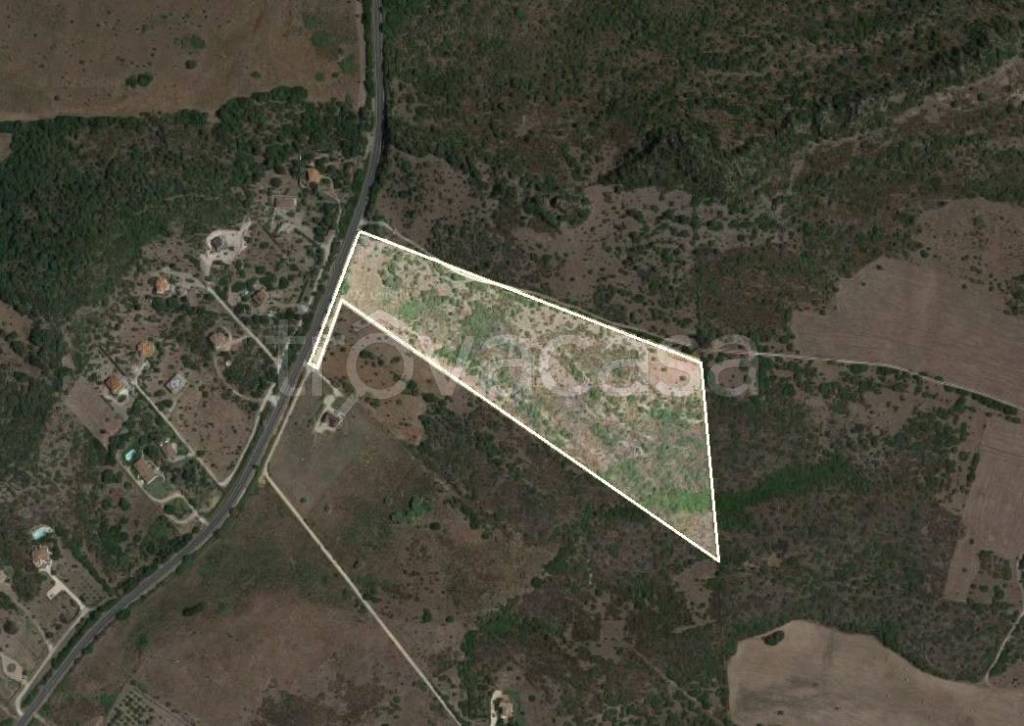terreno agricolo in vendita ad Alghero
