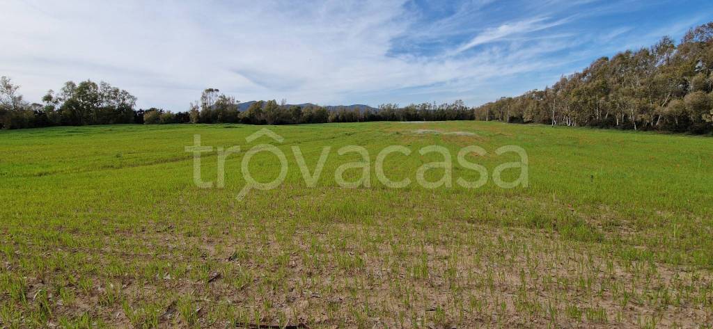 terreno agricolo in vendita ad Alghero in zona Fertilia