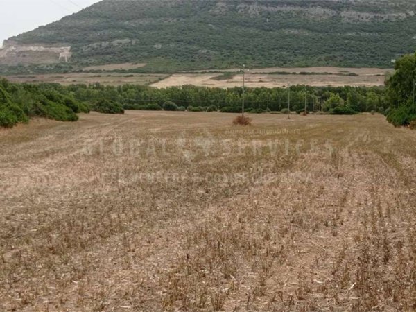 terreno agricolo in vendita ad Alghero in zona Fertilia