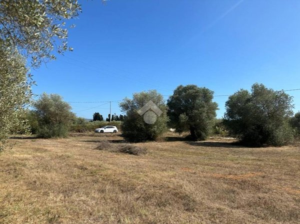 terreno agricolo in vendita ad Alghero