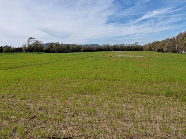 terreno agricolo in vendita ad Alghero in zona Fertilia