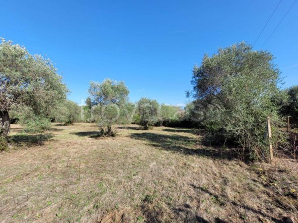 terreno agricolo in vendita ad Alghero in zona Calabona