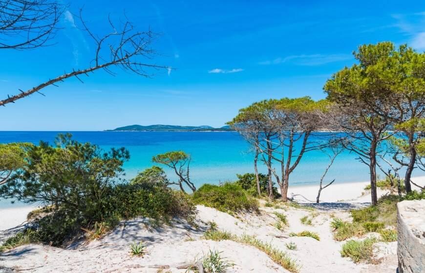 appartamento in vendita ad Alghero in zona Lido