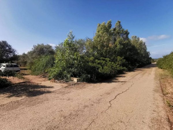 terreno agricolo in vendita ad Alghero in zona Fertilia