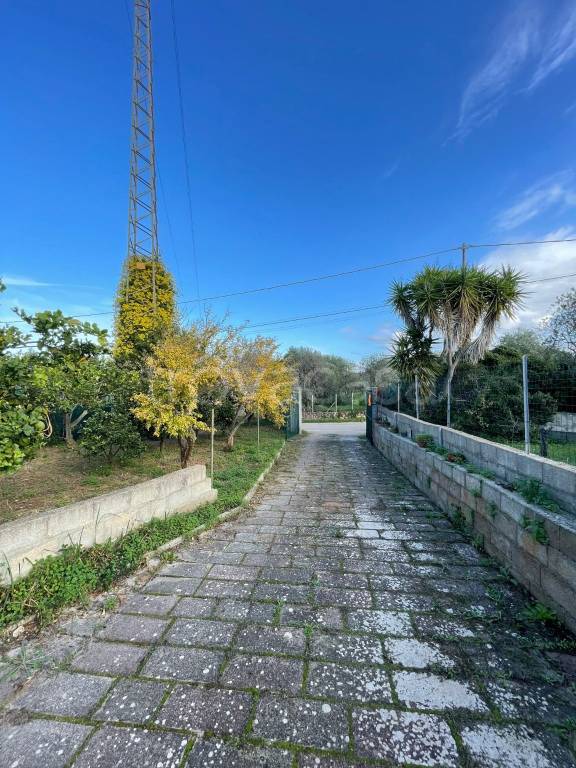 terreno agricolo in vendita ad Alghero in zona Sant'Anna