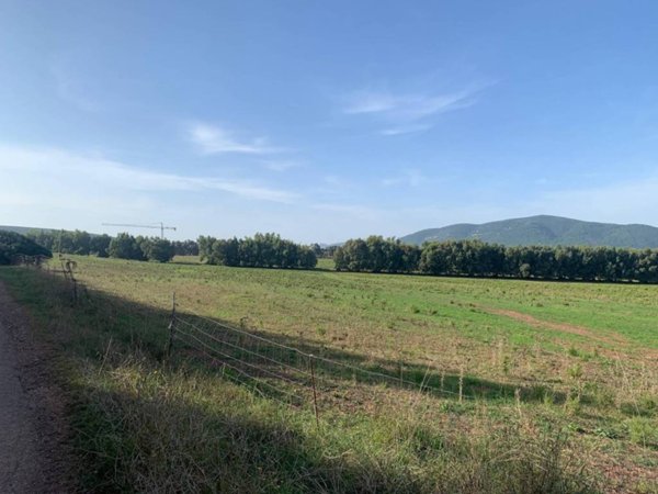terreno agricolo in vendita ad Alghero in zona Fertilia