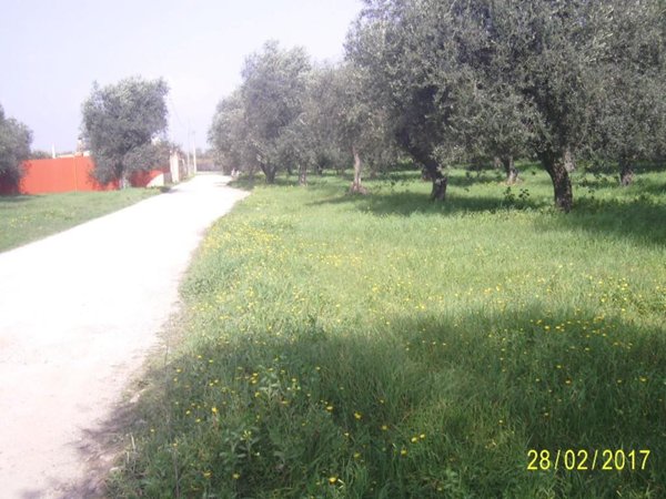 terreno agricolo in vendita ad Alghero