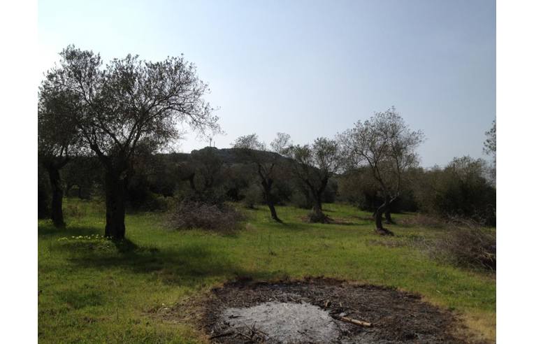 terreno agricolo in vendita ad Alghero