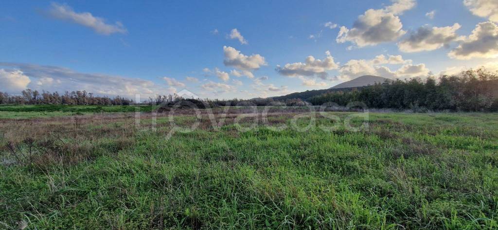terreno agricolo in vendita ad Alghero in zona Santa Maria La Palma