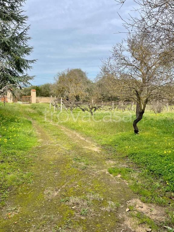 terreno agricolo in vendita ad Alghero