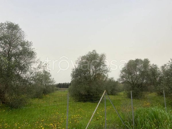 terreno agricolo in vendita ad Alghero in zona Fertilia
