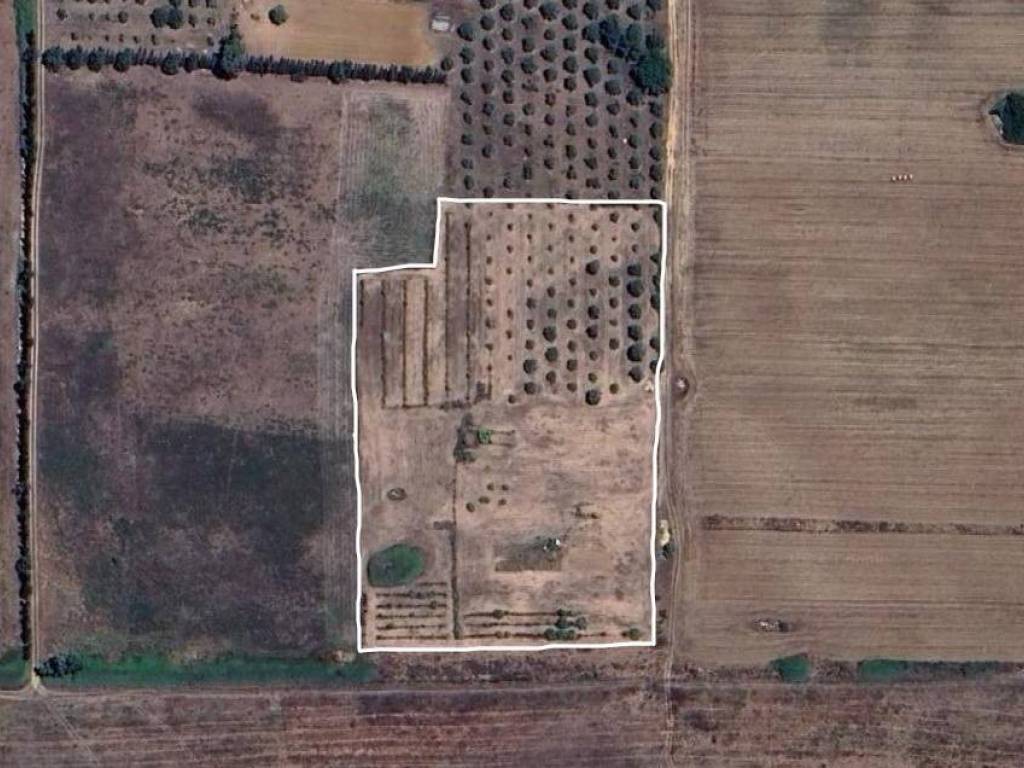 terreno agricolo in vendita ad Alghero in zona Fertilia