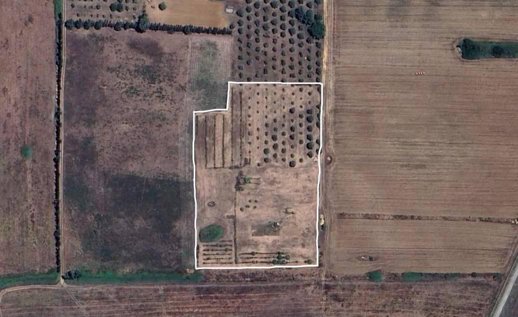 immagine annuncio 0 di 9