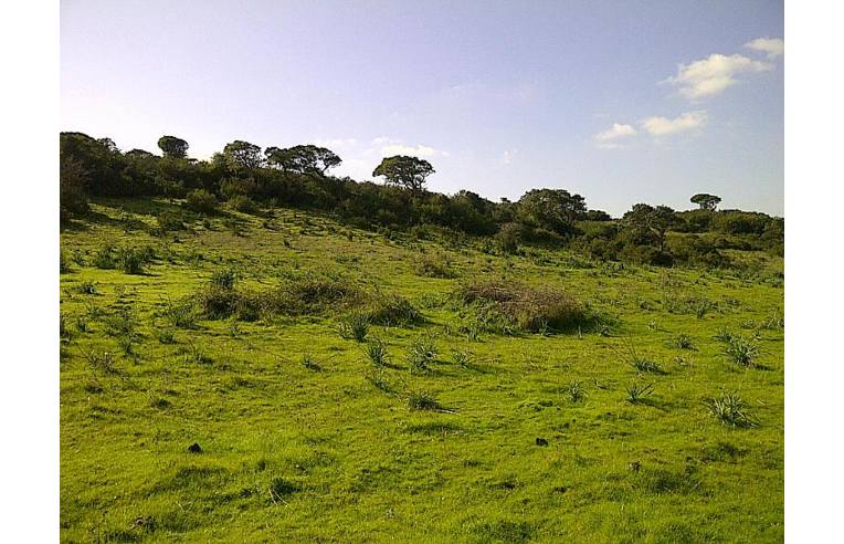 terreno agricolo in vendita ad Alghero
