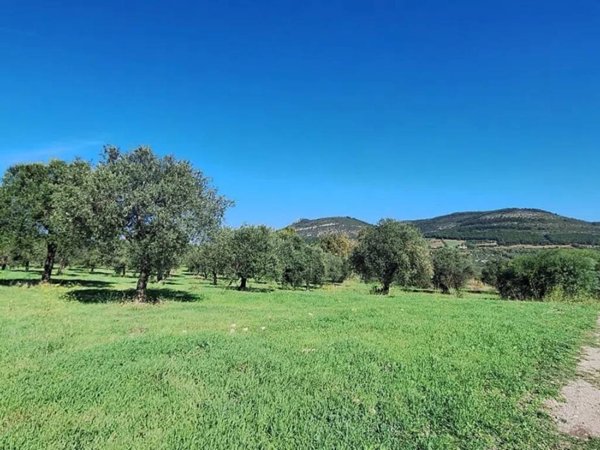 terreno agricolo in vendita ad Alghero