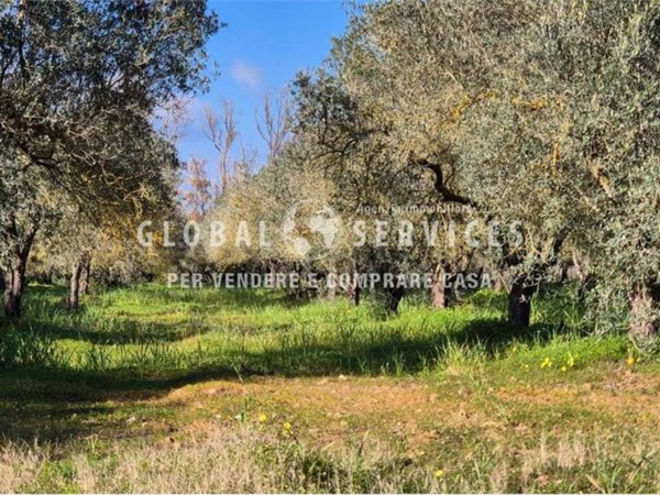 terreno agricolo in vendita ad Alghero in zona Fertilia