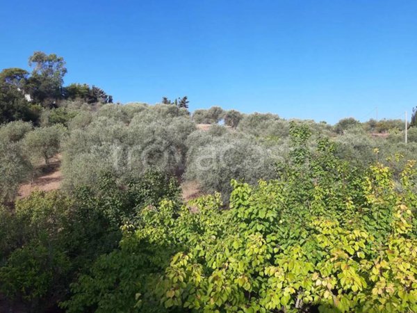 terreno agricolo in vendita ad Alghero