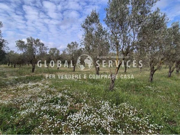 terreno agricolo in vendita ad Alghero in zona Fertilia
